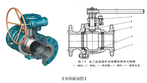 球阀解剖图
