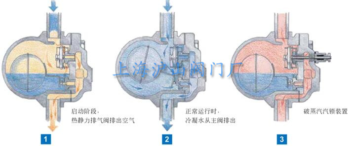 机械型疏水阀结构